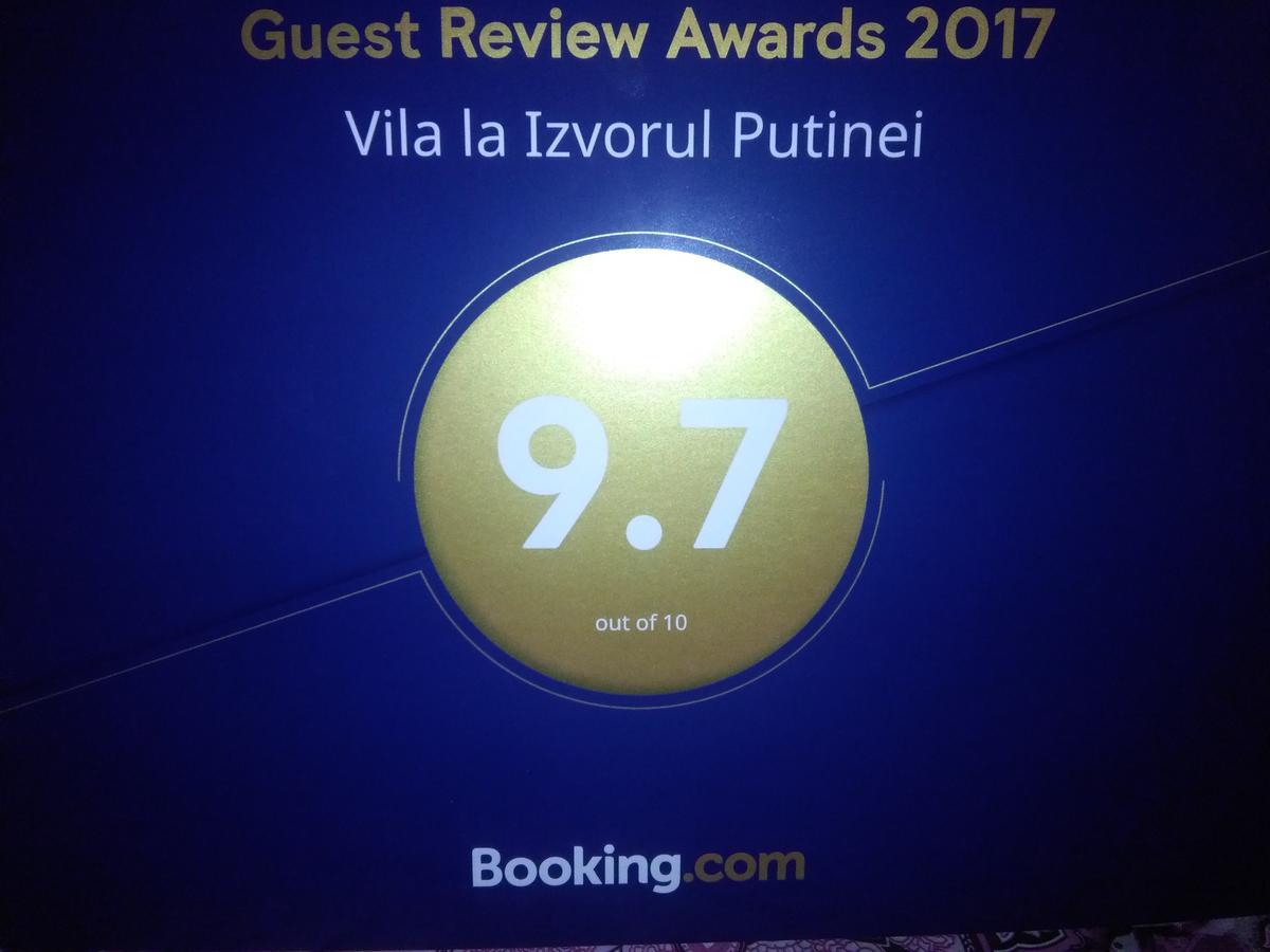 Vila La Izvorul Putinei Hateg Ngoại thất bức ảnh