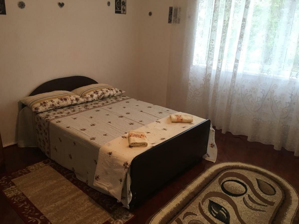 Vila La Izvorul Putinei Hateg Ngoại thất bức ảnh