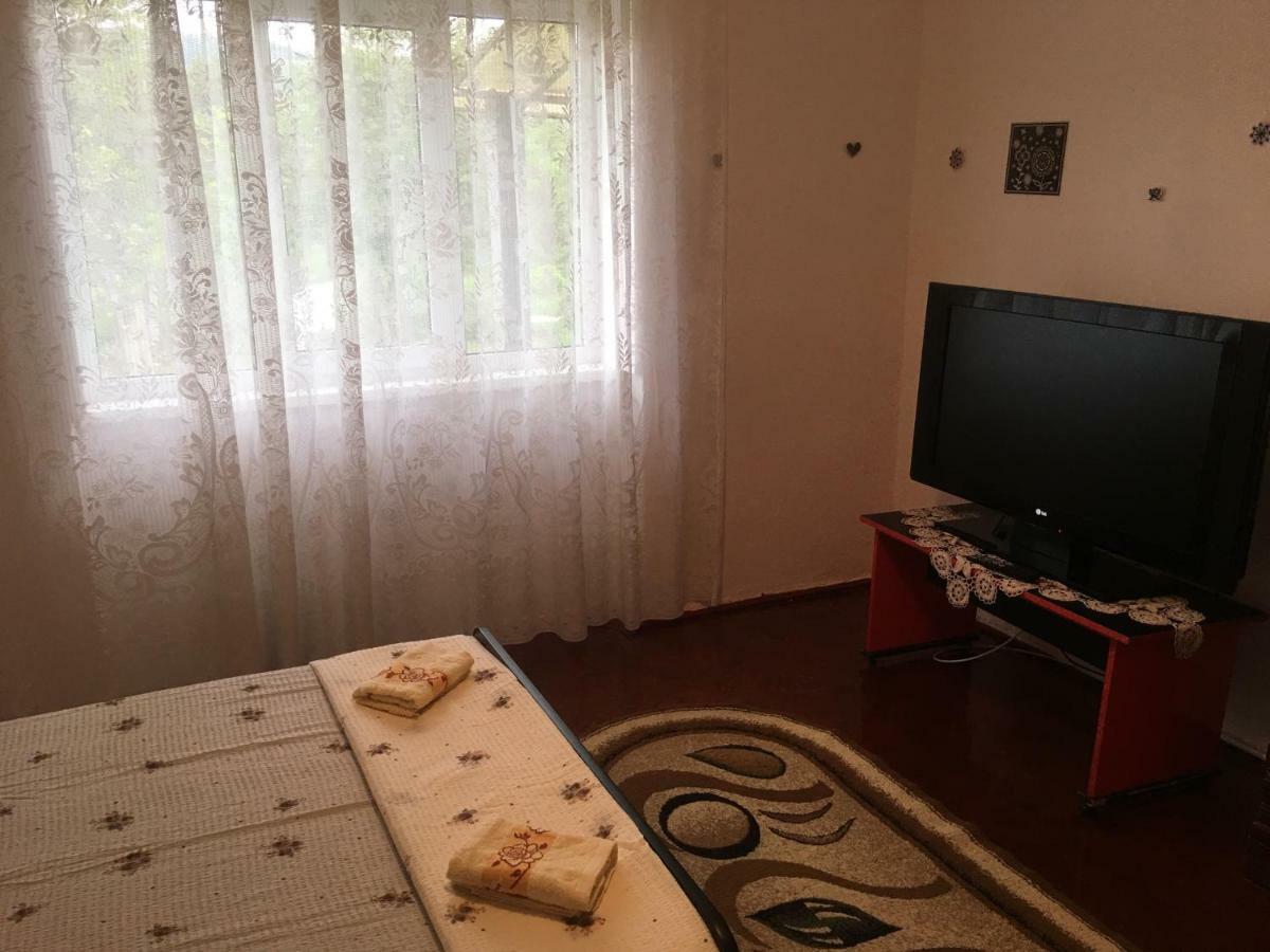 Vila La Izvorul Putinei Hateg Ngoại thất bức ảnh