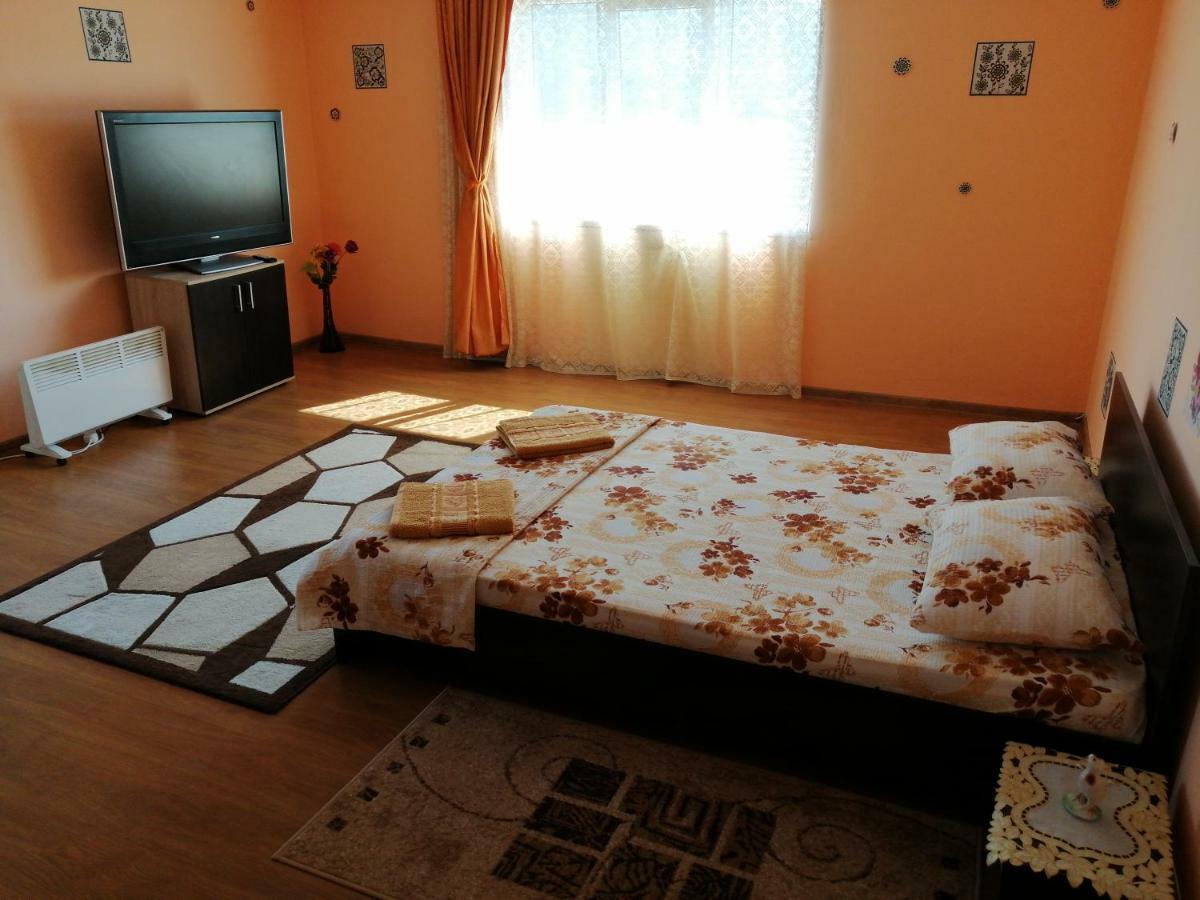 Vila La Izvorul Putinei Hateg Ngoại thất bức ảnh