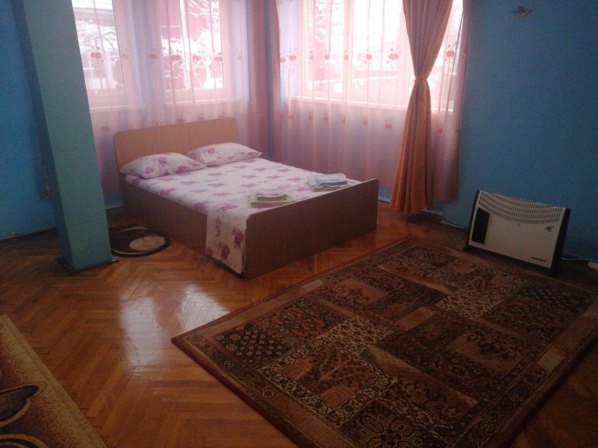 Vila La Izvorul Putinei Hateg Ngoại thất bức ảnh